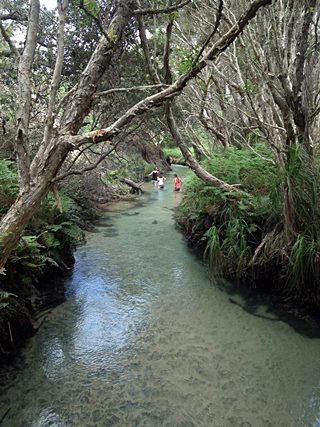 eli creek