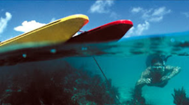 kayak and snorkel